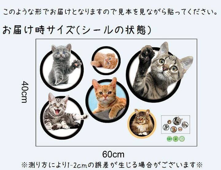 楽天市場 送料無料 ウォールステッカー トリックアート 3d だまし絵 壁紙シール はがせる 壁シール 写真 ネコ 猫 キャット 可愛い かわいい ユニーク 面白い おもしろい 飾り付け ルームデコレーション ウォールデコレーション 貼り付け簡単 Diy 模様替え Plus Nao