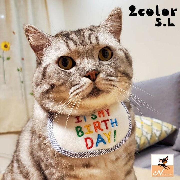 楽天市場 送料無料 ペット用スタイ 猫用スタイ キャットウェア よだれかけ ビブ 猫 犬 ネコ キャット イヌ ドッグ ペット用品 アルファベット 英文 刺繍 パイピング 紐 かわいい コスプレ Plus Nao