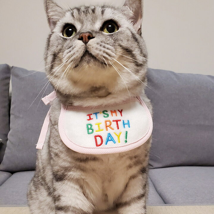 Km691g犬 ネコ 誕生日 バースデー ケーキ おもちゃ ハット 帽子 ピンク キャップ 可愛い ペット用 グッズ 犬用 猫用 パーティー コスプレ ケーキ お誕生日 かぶりもの インスタ映え おしゃれ 小型犬 かわいい オシャレ Cat 中型犬 ろうそく 仮装 Dearkm フレンチ