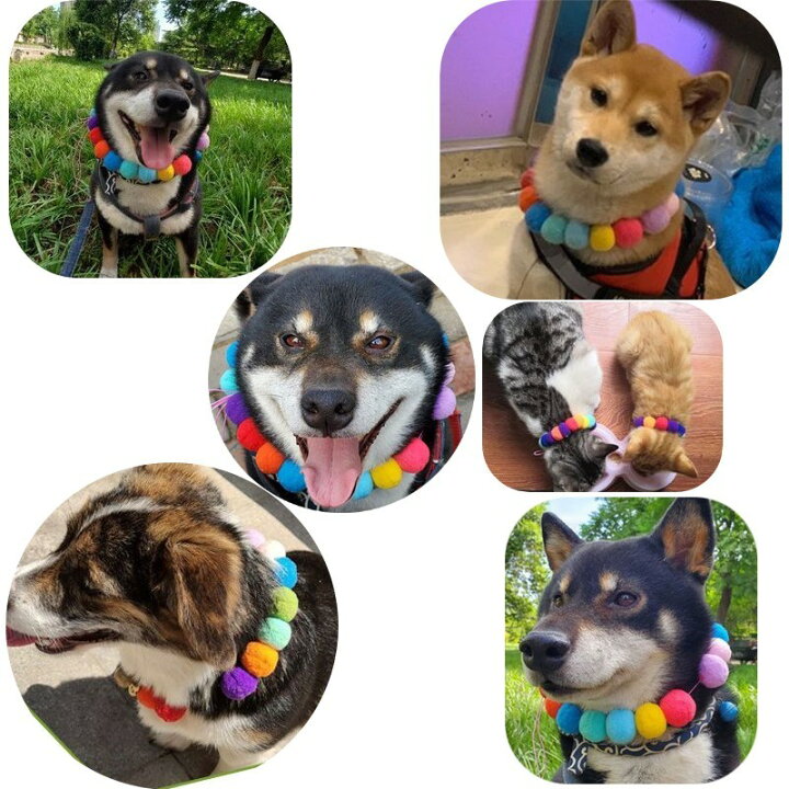 楽天市場】送料無料 ペット用チョーカー アクセサリー ネックレス 首飾り 犬用 猫用 ドッグ キャット ポンポン カラフル かわいい おしゃれ 小型犬 中型犬 紐 ふんわり おめかし お出かけ 首輪 わんちゃん ねこちゃん 小動物 : Plus Nao 楽天市場】送料無料 ペット用チョーカー アクセサリー ネックレス 首飾り 犬用 猫用 ドッグ キャット ポンポン カラフル かわいい おしゃれ 小型犬 中型犬 紐 ふんわり おめかし お出かけ 首輪 わんちゃん ねこちゃん 小動物 : Plus Nao