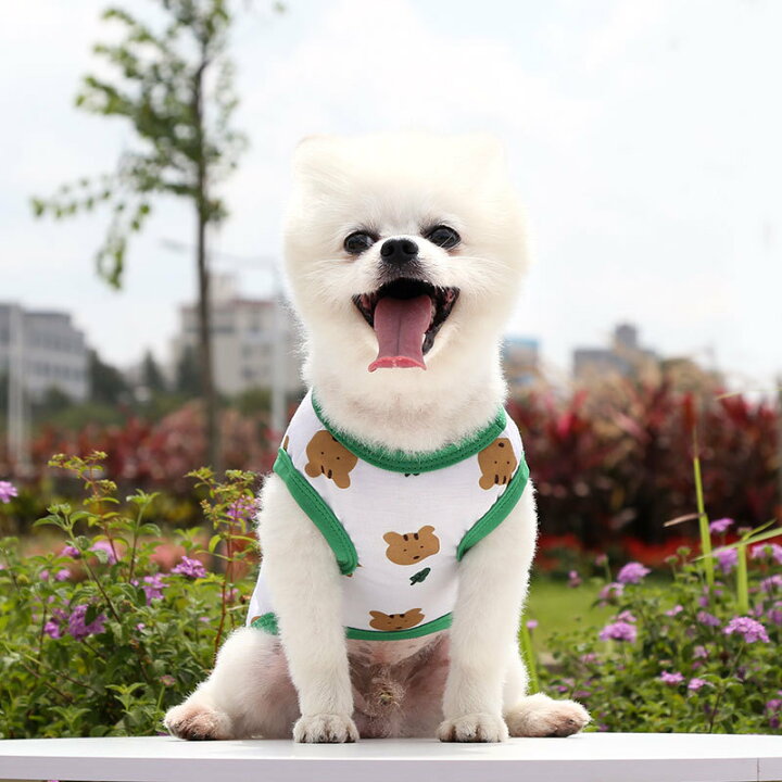 楽天市場 送料無料 ペットウェア タンクトップ 犬服 猫服 ドッグウェア キャットウェア 袖なし プルオーバー ネズミ 熊 クマ 総柄 プリント イラスト カジュアル おしゃれ かわいい お散歩 お出かけ 普段使い ペット服 犬の服 猫の服 Plus Nao 楽天市場 送料無料 ペットウェア タンクトップ 犬服 猫服 ドッグウェア キャットウェア 袖なし プルオーバー ネズミ 熊 クマ 総柄 プリント イラスト カジュアル おしゃれ かわいい お散歩 お出かけ 普段使い ペット服 犬の服 猫の服 Plus Nao