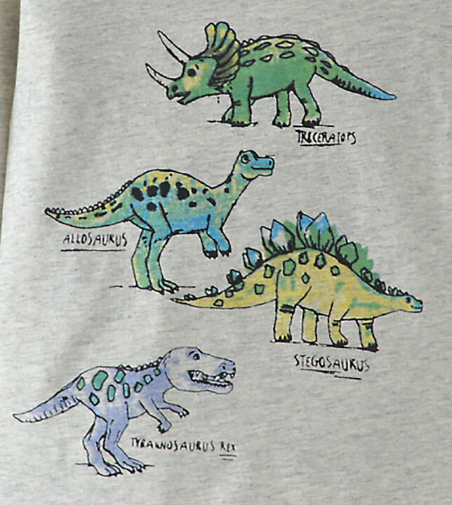 楽天市場 送料無料 Tシャツ 長袖 カットソー 子供 キッズ 男の子 子供服 トップス ラウンドネック 恐竜 ダイナソー 水彩タッチ イラスト入り プリント入り シンプル ゆったり 定番 かわいい かっこいい 着回し おしゃれ お出かけ 遊び 運動 スポーツ 部屋 Plus Nao