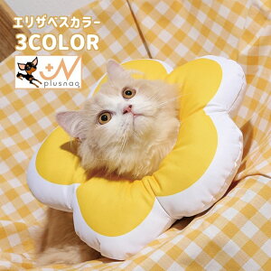  GUxXJ[ ybgpi pi Lpi ybgObY NbV _炩 \tg p rߖh~ ی  t[ 킢