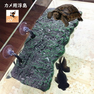   Tp gJQ pCAEg  ঒ fR[V J̓ CeA pi CAEgpi ybgpi ݂艺^ zՎt   