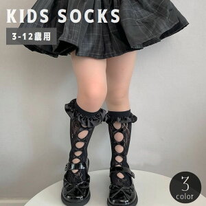  nC\bNX LbY qp ̎q C  ԃ\bNX [X { t  VA[  킢  K[[