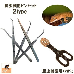  sZbg nT~ ঒ޗp ybgp a  30cm   GT t t gJQ wr O  ֗  