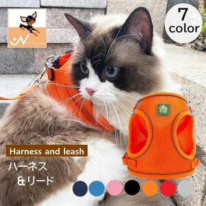  n[lX [h Zbg L   [V Lbg hbO bV ߉ ˔ }WbN e[v y U o| ybgpi R jR ^