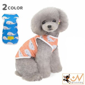  ybgEFA hbOEFA ^Ngbv  L ^ ^ ps[ Ȃ  vg  U o 킢 