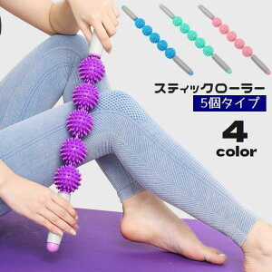  XeBbN[[ RR 5A  ˋN  Xgb` wp ؓق c{ ŊȒP   ӂ͂ w  tbV