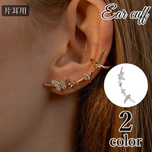  C[Jt Pi Ўp fB[X p ANZT[ X CXg[ LL  IV 킢