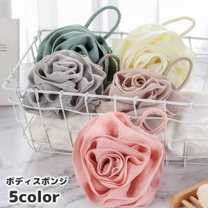  {fBX|W oXX|W oXpi ObY oXObY Ԍ^ o {fB^I Aălbg {fBPA 킢  ̐