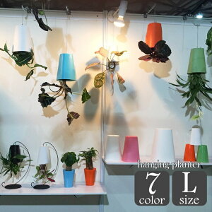  nMOv^[ Aؔ CeAG K[fjO ݂邷 t  Vv n PF  O ϗtA