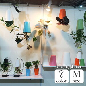  nMOv^[ Aؔ CeAG K[fjO ݂邷 t  Vv n PF  O ϗtA