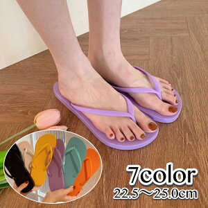  gOT_ r[`T_ fB[X p JWA  킢 Vv  ₷ ig x_ s ig o ][g ̎q wlp 