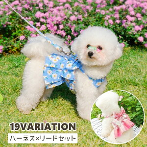  ybgpn[lX [h 2_Zbg ybgEFA t[ ԕ  `FbN  { 킢  ybg U UR  Ck