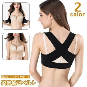  p␳xg wؗpT|[^[ pxg w؃xg oh ␮xg OzbN 3i 3zbN w b ⏕ T|[g T|[^[ fB[X 