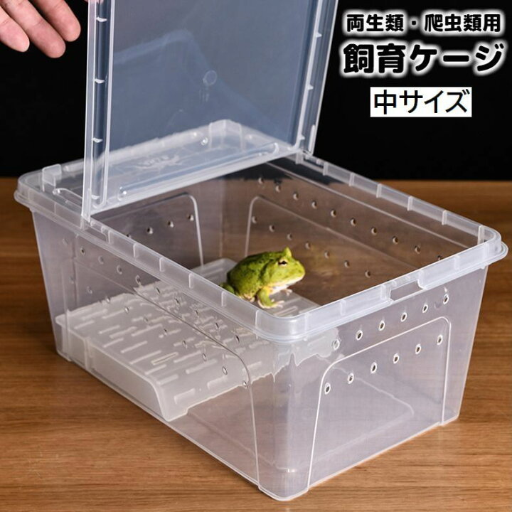 楽天市場】送料無料 飼育ケージ 飼育ケース 両生類用 爬虫類用 クリア  