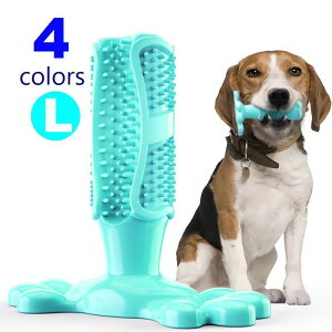  p o[gC ނ f^gC ^ ^ ݂ Η\h΍  fR{R XgXU pi ybgObY ߋ