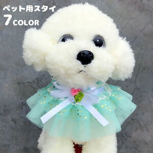  ybgpX^C ANZT[ ru 悾ꂩ p Lp ^ p[eB[ Cxg ybgpi [X {  t[  킢