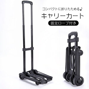  L[J[g  ܂肽ݎ Œ胍[vt ω׏d25kg VbsOJ[g RpNg ^ ו^ ֗ObY AEghA 