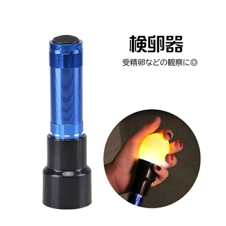 楽天市場】送料無料 検卵器 LEDライト 検卵機 ライト 懐中電灯 実験 