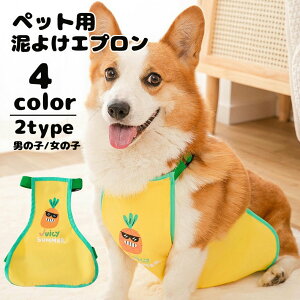  D悯Gv CGv UGv ybgpGv R[M[ Upi hbOEFA ybgEFA p ^ ^ U o CObY JJbp 