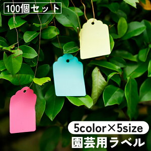  |px 100Zbg l[^O nO^O vg}[J[ h A vc R Ԃ牺 ݂艺 nMO K[fjO