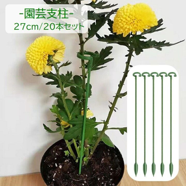 楽天市場】送料無料 園芸支柱 20本組セット 27cm 支柱 観葉植物 花 