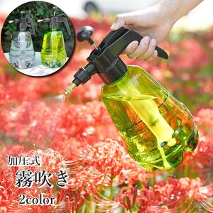     1.5L ڐt K[fjO |  U 傤 Xv[ {g ~Xg V[   A   g  \