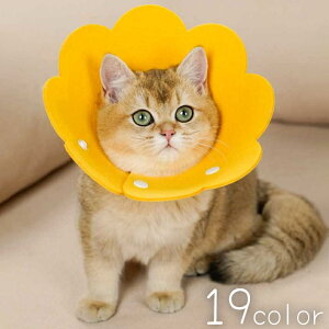  GUxXJ[ L  ybg  Ԍ^ p rߖh~ ی \ Xibv{^ _炩 킢 JoLx