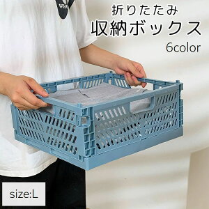  [{bNX LTCY ܂肽 Rei{bNX [P[X RpNg ߗ  [   킢