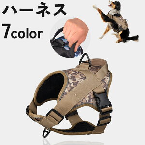  n[lX  p ^ ^ ybgpi   nh n ʕ ˍ U o    Ck