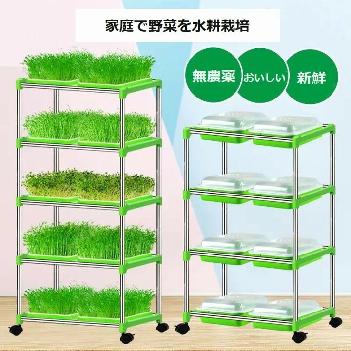 楽天市場】送料無料 育苗トレイ 育苗トレー 農業用品 ガーデニング用品 