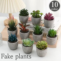 楽天市場】フェイクグリーン 多肉植物の通販