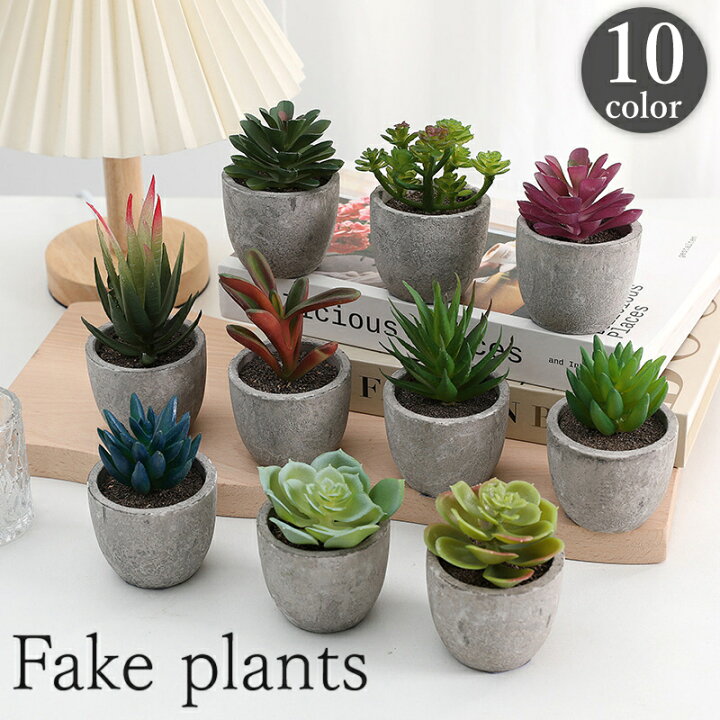 楽天市場】送料無料 フェイクグリーン 人工観葉植物 多肉植物 鉢植え 