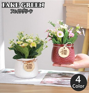  tFCNO[  ԕrt CeAG CeA u   }[Kbg [t t p[v IW sN ؂₩ 킢 L[g 