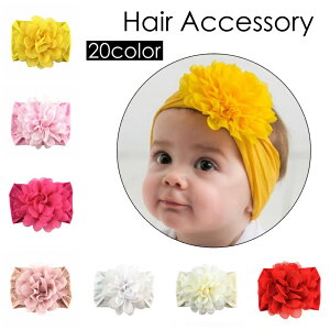  wAoh wbhoh wAANZT[ xr[ qp LbY Ԃ t[  JoLx LOBe  oYj V t@bV