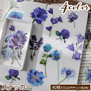  XebJ[ t[NV[ NAXebJ[ 40Zbg  t[ t [t fR[V R[W bsO nhNtg 