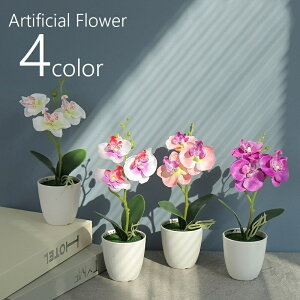   tFCNt[ At  t[  ԏ Ӓ A[eBtBVt[ A[gt[ CeAG t[AWg lH ͂Ȃ tt 