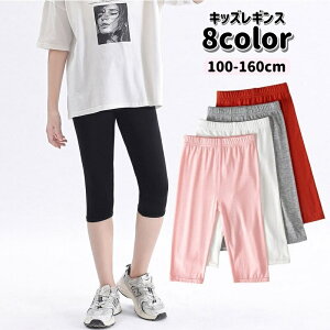  MX Xpbc q qǂp LbY WjA xr[ ̎q j̎q 7 n Vv  JWA bOEFA ₷ ʉ ʊw