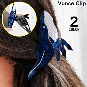  oXNbv wANbv fB[X wAANZT[   NW ~ 傫 wAAW ܂Ƃߔ 