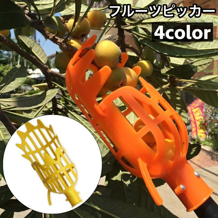 楽天市場】送料無料 フルーツピッカー ヘッドのみ フルーツ 