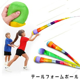 送料無料 テールフォームボール テイルボール ソフトテールボール トレーニングボール トレーニング キャッチボール やわらかい 運動 子供 感覚トレーニング スポーツ玩具 スポーツトイ 流星ボール カラフル しっぽ付き アクティビティ 外遊び プレイボール ランダムカラー