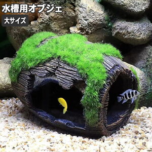  pIuWF M^ ^ AeB[N CM ybgpi B ӏ܋ Mы CeA I[ig CAEgpi   _J  ANAEf