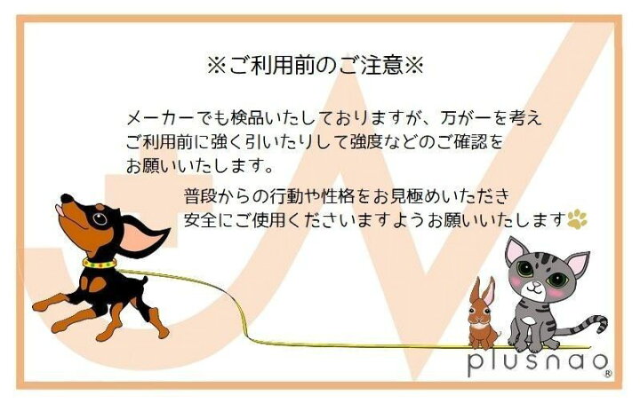 楽天市場】送料無料 ハーネス リード 2点セット 鶏用 アヒル 鳥用 犬 