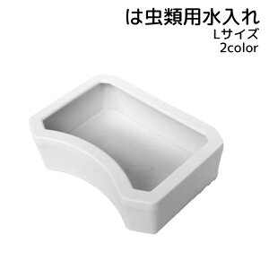  gJQ JG ͒  ybgpi  GT EH[^[fBbV 傫 lp` ubN zCg Vv