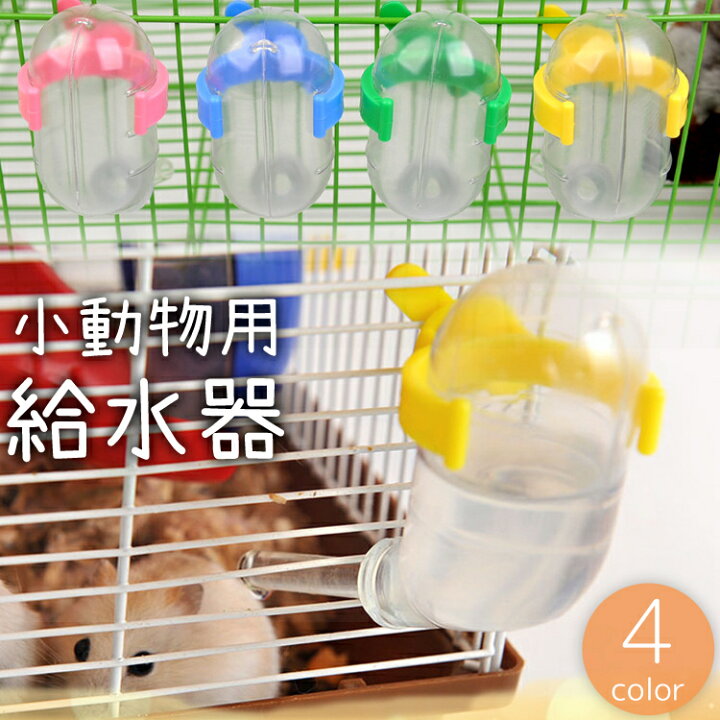 楽天市場】送料無料 給水器 ウォーターボトル 60ml 小動物用