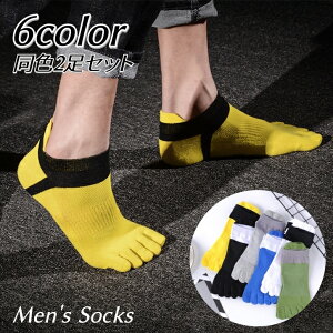  ܖ{w\bNX 2Zbg C Y jp V[g Vv  JWA AEghA fC[ ^ X|[c ʊw ʋ o j̎q amp ̓     