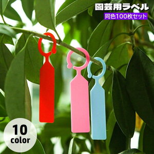  |px 100Zbg tbN^ ݂艺^Cv | K[fjOpi |pi Ap^O O^O t[x l[^O }[J[ ƒ؉ 
