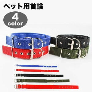   J[ p Lp ybgp hbO Lbg xg^Cv Vv n JWA  킢 U o ybgpi ybgObY